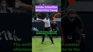 The MOST BEAUTIFUL Xander Schauffele Driver Swing Slow Motion (Face On) #golf #golfswing