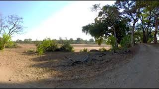 360 Video of Wildlife Film trip - Photos of Africa VR Safari