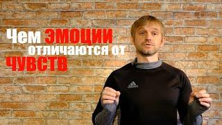 Что такое чувства? Чем чувства отличаются от эмоций? // Эмоциональный Интеллект.