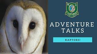 NH Fish and Game Adventure Talks - Raptors!