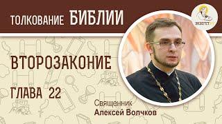 Книга Второзаконие, глава 22. Священник Алексей Волчков. Толкование Ветхого Завета Толкование Библии