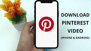 How to Download Pinterest Videos to iPhone Gallery (2024)