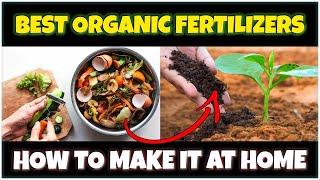 How to Make ORGANIC FERTILIZER for Plants at Home