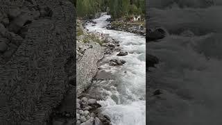 Kargaah Nalah: Discover the Hidden Gem of Gilgit You Never Knew Existed!"