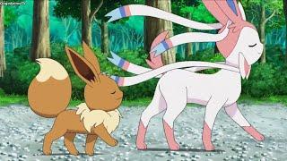 Eevee Imitating Sylveon