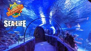 Sea Life at Chessington World of Adventures - July 2021 [4K]