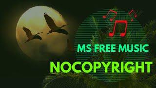 Kage - ONI [NCS Release]Ms Free Music provided by NoCopyrightSounds