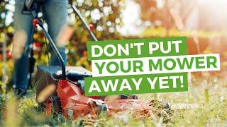 Autumn Mowing Tips | Lawncare UK