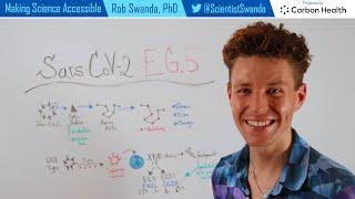 SARS-CoV-2 EG.5 (Eris) Variant Explained