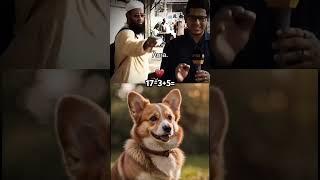 MALE SOLIDARITY  #dog #memes #funny