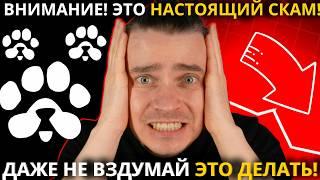 ️ PAWS  ВНИМАНИЕ!  ЭТО НАСТОЯЩИЙ СКАМ! ДАЖЕ НЕ ВЗДУМАЙ ЭТО ДЕЛАТЬ! ПОТЕРЯЕШЬ ВСЕ ДЕНЬГИ И БОЛЬШЕ!