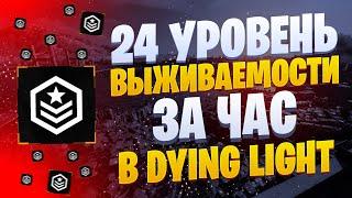 ️КАК БЫСТРО ПРОКАЧАТЬ ВЫЖИВАЕМОСТЬ В DYING LIGHT️