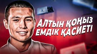 Алтын қоңыз емдік қасиеті.Халық емшісі Нұрқаділ.Простатит казакша уйде емдеу жолдары.Уролог/коныз