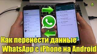 Как перенести данные  WhatsApp с iPhone на Android