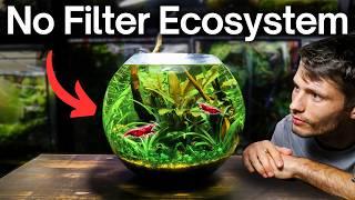 How To Make a No-Filter Shrimp Ecosystem