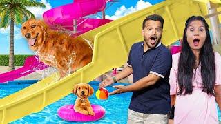 Our Dog’s Dream Water Park Is Finally Here! You Won’t Believe This.