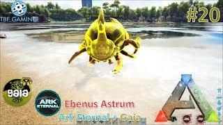 Harbinger Beetles E20 - Ebenus Astrum Gaia Eternal - Ark Survival Evolved - Modded Ark Playthrough