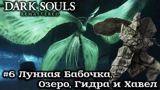 Dark Souls: Remastered - #6 Лунная Бабочка, озеро, гидра и Хавел