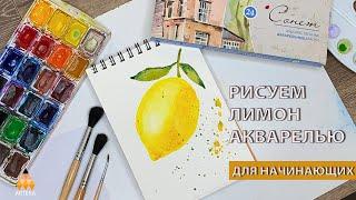 Акварель для начинающих. Как нарисовать лимон