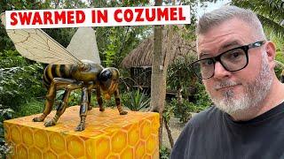 This Cruise Excursion was Interesting | Cozumel