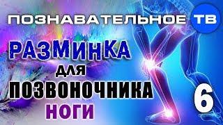 Разминка для позвоночника. Часть 6. НОГИ (Познавательное ТВ, Герман Тюхтин)