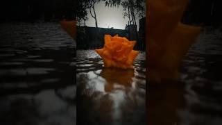 আমির হাওলাদারের  শেষ চিঠি #viralvideo #poddoja #uponnash #storyclip #amirsletter