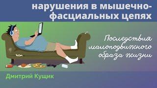 Нарушение мышечно-фасциальных цепей связано с недостатком движения | Кинезиолог Дмитрий Кущик