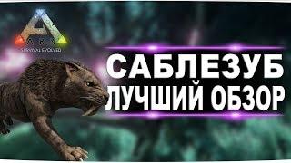 Саблезуб (Sabertooth) в АРК. Лучший обзор: приручение, разведение и способности  в ark