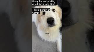 if you still want me to post I can post about 1-2 a month or so give me ideas to post about Roblox