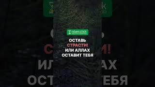 Оставь страсти! Или Аллах оставит тебя... Абу Яхья Крымский #ИсламБезБидъа #УрокИслама #СледуйКорану