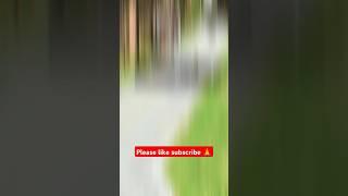 Cars Bollard Wall Crash – BeamNG.drive #automobile #beamngdrive #shorts