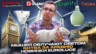 Новинки выставки Euroluce / Кожу кальмаров натянут на окна / Светильники из вторсырья