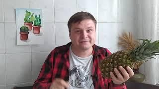 Ботанік в кедах #45. Ананас