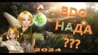 Стоит ли играть Black Desert Online в 2024 году