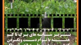Hazrat Zarifi Dubaitiha (nur studio)