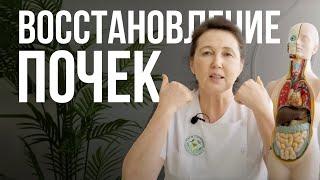 КАК ВОССТАНОВИТЬ ПОЧКИ?