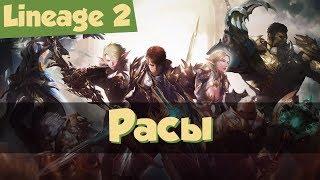 Lineage 2: кем начать играть, часть 1: расы. Гайд для новичков (Homunculus, Prelude of War).