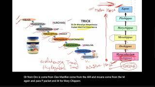 Paleontology Previous year Q&A and Numerical class video-13: BRAHMASTRA (Hinglish)