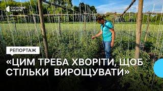 Колекціонує сорти помідорів, а насіння розсилає по Україні: як житель Чернігівщини вирощує томати