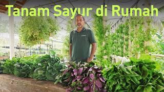 Founder 'Raja Lawak' Tanam Sayur Di Belakang Rumah | Homegrown Farms