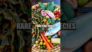 Uncovering the Nutrient Mystery: The Kiribati Anomaly