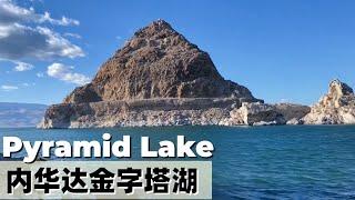 大自然鬼斧神工？还是古城遗迹？无人之地 Pyramid Lake NV｜VLOG【小武游记】