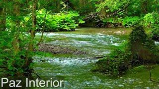 Aliviar o Cansaço da Mente - Música Relaxante Para Amenizar a Exaustão e Fadiga Mental, Tranquilizar