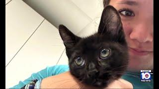 South Florida teen making big difference thanks to love for animals