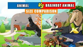 Animals and Brainrot Animals Walking Size Comparison | Brainrot Animal Animation