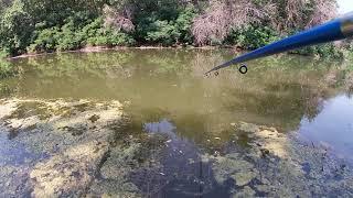 Meditation / Sound of Nature #87