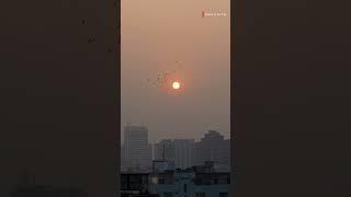 Sunset in the City | Cinematic Travel Video | Avijit Bhakta #shorts
