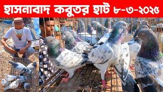 হাসনাবাদ কবুতর হাট ৮-৩-২০২৫ || kobutor hat 2025 || pigeon market in bd || Hasnabad kobutor hat