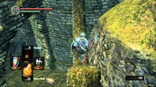 Dark Souls: How to find snuggly the crow's nest