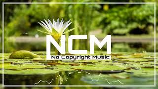 Online - [NCM Release]